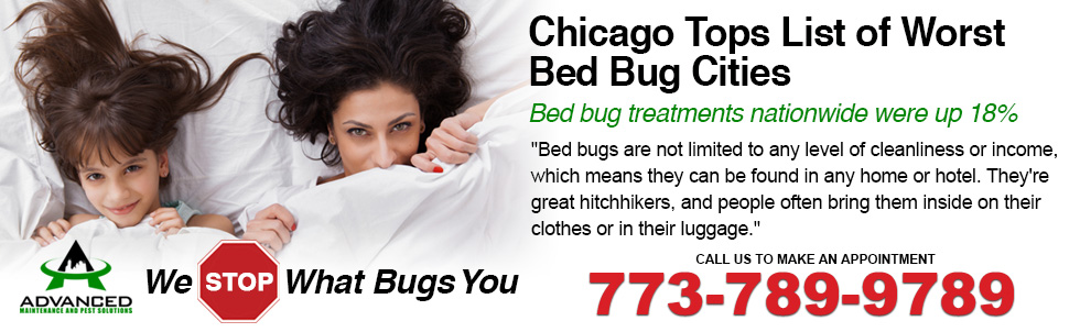 bed bug pest control experts chicago