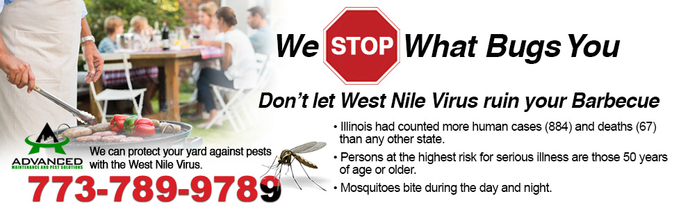 mosquitoes pest control experts chicago