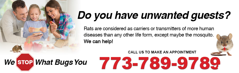 rats pest control