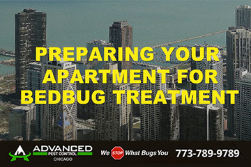 Preparing Your Apartment Bedbug Treatment chicago video